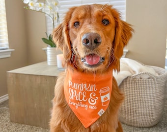 PUPkin Spice Dog Bandana with Snaps