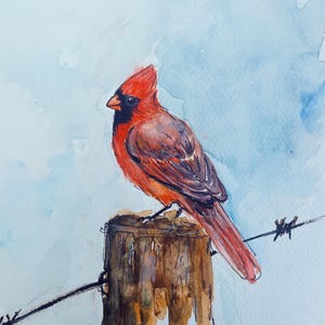 Watercolor Cardinal Wall Art, painting of a male cardinal