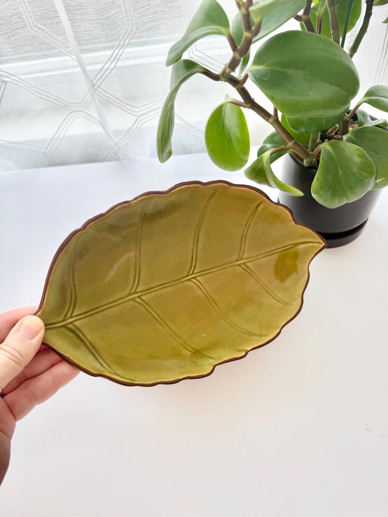 May include: A ceramic dish shaped like a leaf with a glossy olive green finish and a dark brown rim. The surface features embossed vein details that extend from a central stem, creating a textured appearance on the interior of the bowl.