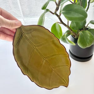 May include: A ceramic dish shaped like a leaf with a glossy olive green glaze and a dark brown rim. The surface features embossed veins that mimic the natural structure of a leaf, creating a textured appearance across the entire piece.