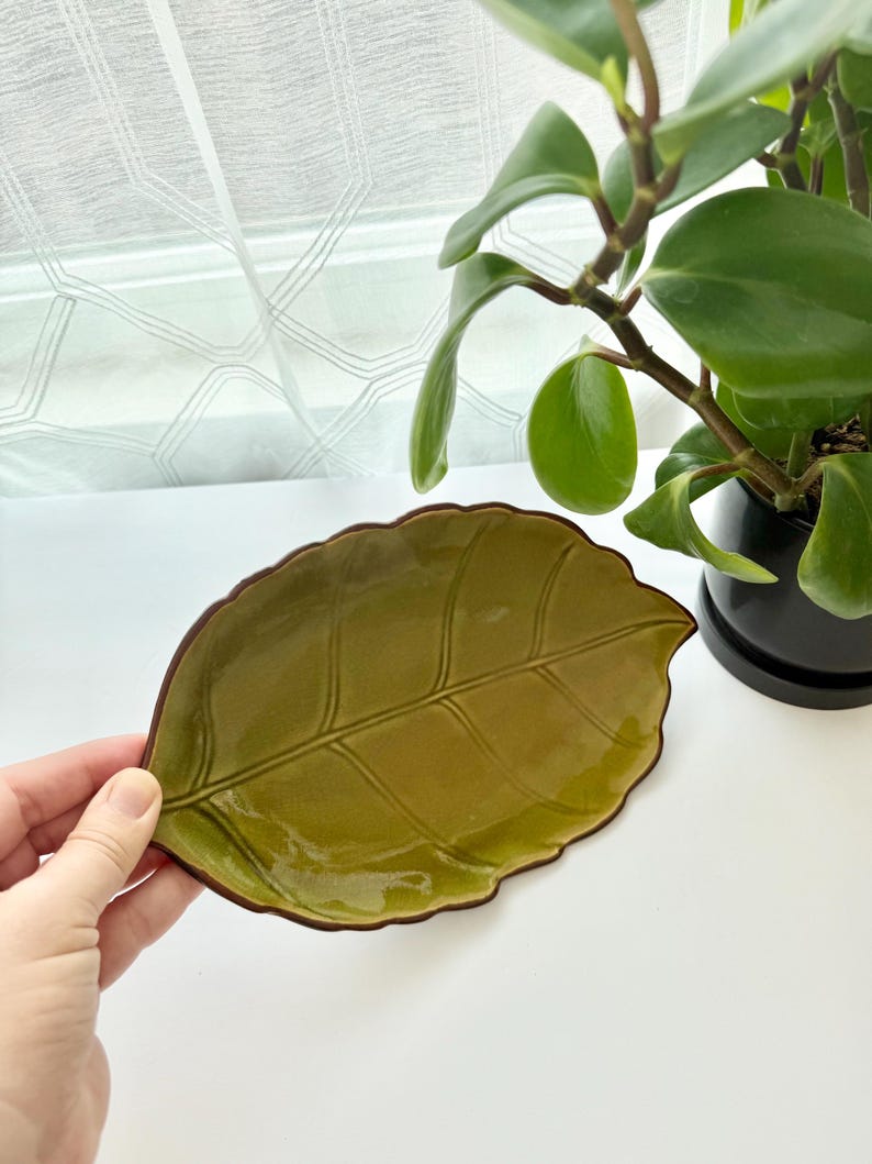 May include: A glossy, olive-green ceramic dish shaped like a leaf with a dark brown rim. The surface features embossed veins that mimic the natural structure of a leaf, creating a textured appearance. The dish has a scalloped edge and a smooth finish.