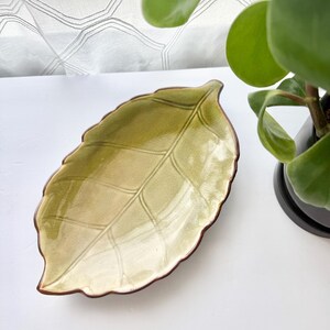 May include: A ceramic dish shaped like a leaf with a glossy finish in shades of light and dark green. The dish features a detailed embossed vein pattern and a dark brown rim that follows the scalloped edge of the leaf shape.