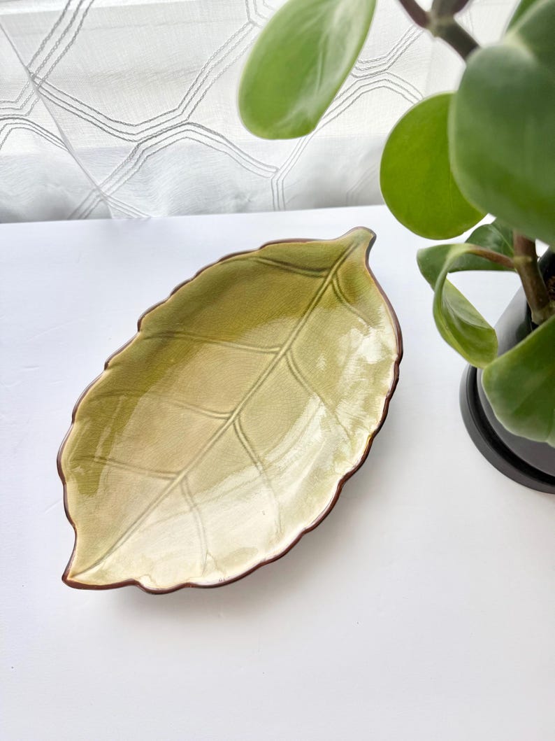 May include: A ceramic dish shaped like a leaf with a glossy finish in shades of light and dark green. The dish features a detailed embossed vein pattern and a dark brown rim that follows the scalloped edge of the leaf shape.