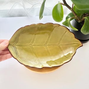 May include: A ceramic dish shaped like a leaf with a glossy olive green glaze and a dark brown rim. The surface features embossed veins running from a central stem, creating a textured appearance that mimics the natural structure of a foliage leaf.