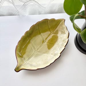 May include: A ceramic dish shaped like a leaf with a glossy finish in shades of light and dark green. The dish features a detailed embossed vein pattern across its surface and a dark brown rim that follows the scalloped edge of the leaf shape.