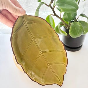 May include: A ceramic dish shaped like a leaf with a glossy olive green glaze and a dark brown rim. The surface features embossed veins that mimic the natural structure of a leaf, creating a textured appearance across the entire piece.