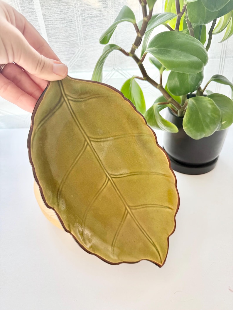 May include: A ceramic dish shaped like a leaf with a glossy olive green glaze and a dark brown rim. The surface features embossed veins that mimic the natural structure of a leaf, creating a textured appearance across the entire piece.
