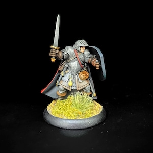 Reaper Painted PLASTIC Human Fighter Miniature 28mm
