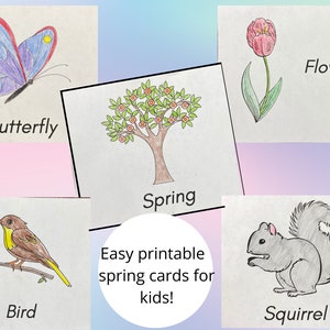 12 Spring vocabulary cards for kids (2-6 y/o)