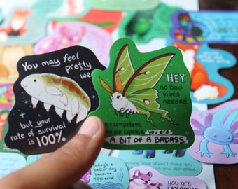 50 Teacher Stickers Cute Animal Stickers for kids, for kids Inspirational Quote Stickers Animal Stickers water bottle wall notebook reward