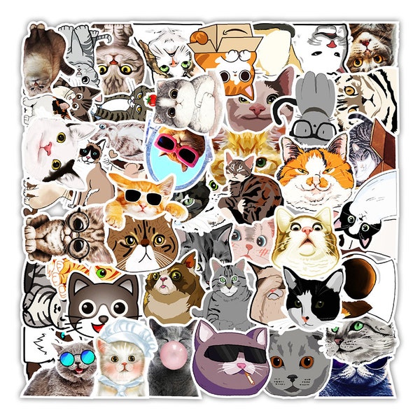 50 Pcs Cat Stickers, Waterproof Vinyl Stickers for Kids Adults, Kitten Decals for Laptop, Water Bottle, Skateboard, Bicycle, Luggage, Helmet