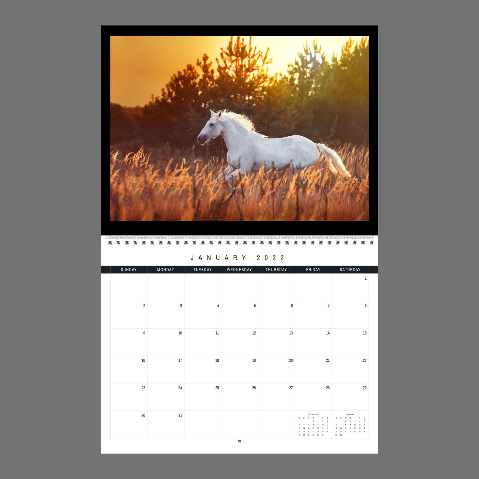 Horse Calendar 2023 Gift Idea for Horse Lovers Wall Calendar - Etsy