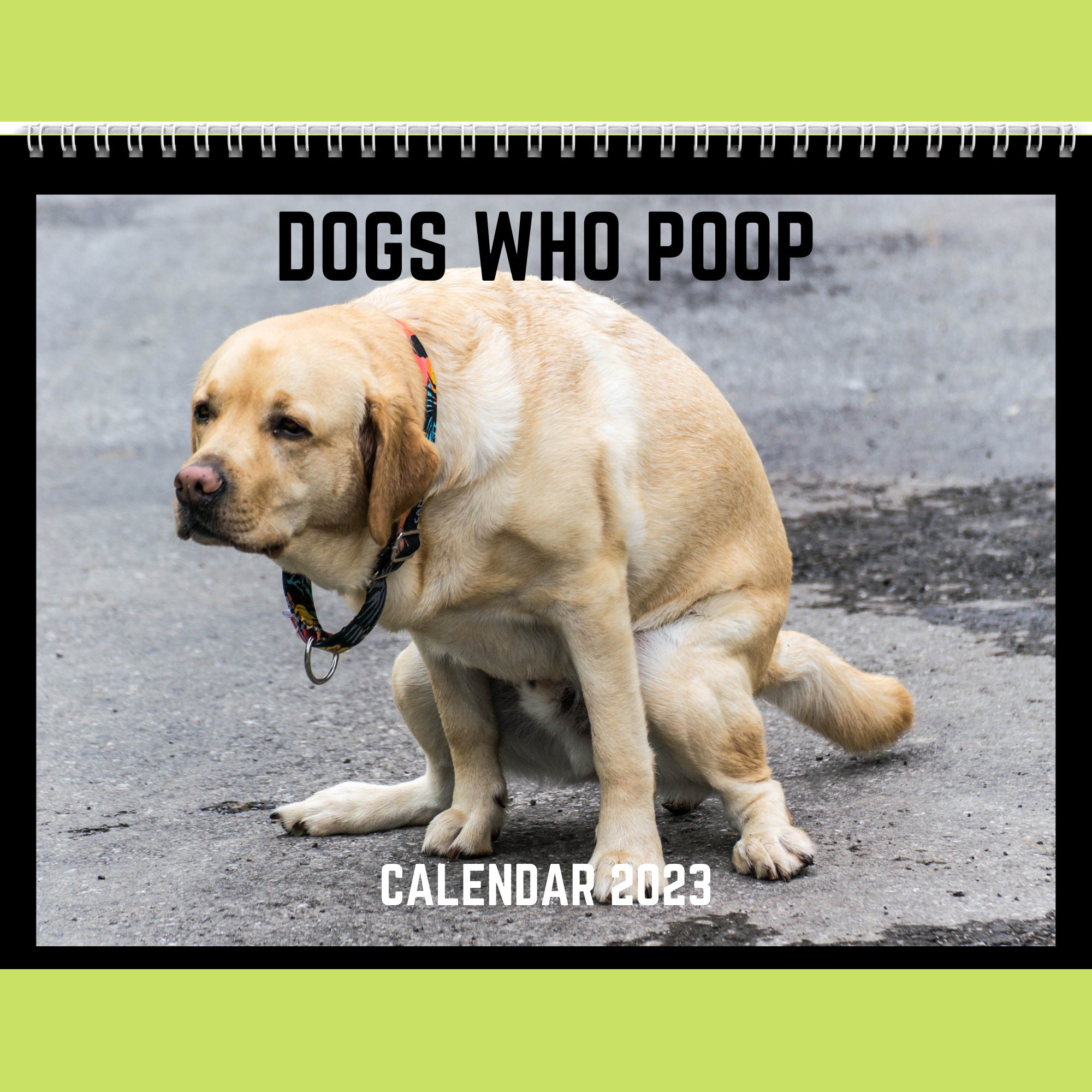 Dog Poop Calendar Funny Calendar New Year Calendar 2023 Calendar Funny