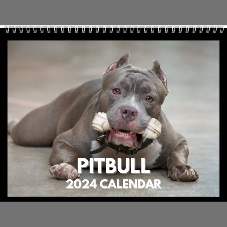 Pitbull Calendar 2024 Gift Idea for Pitbull Lovers Wall Calendar