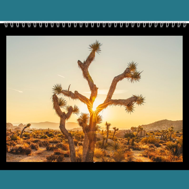 Desert Calendar 2024 Gift Idea for Desert Lovers Wall Calendar Present 