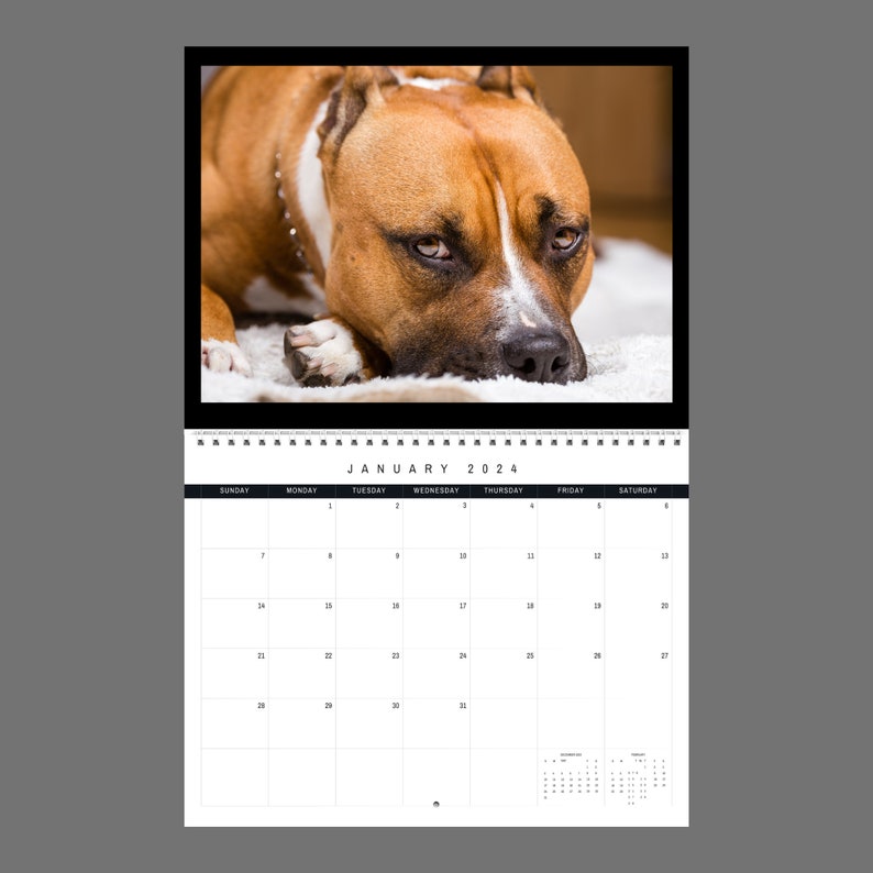 Pitbull Rally 2024 Calendar Nike Sabrina