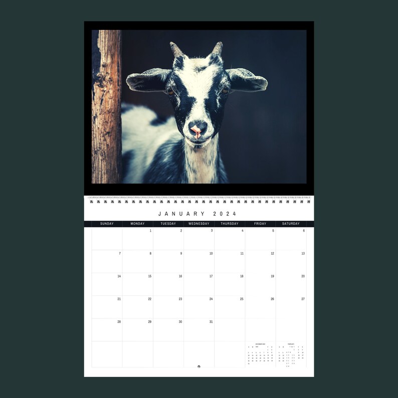 Goat Calendar 2024 Gift Idea for Goat Lovers Goats Wall Calendar