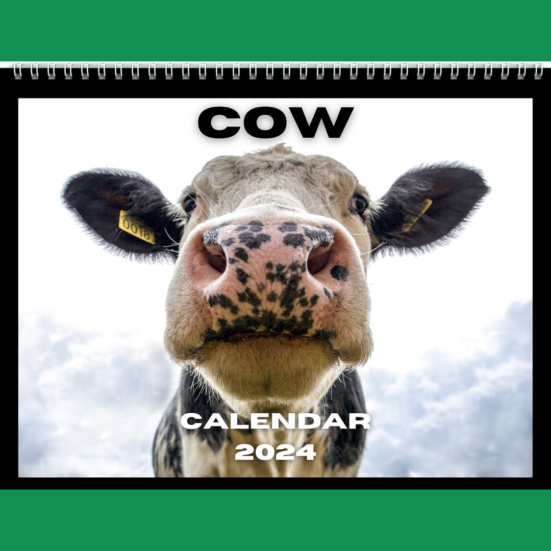 Cow Calendar 2024 Gift Idea for Cow Lovers Cow Lover Farm Country Wall