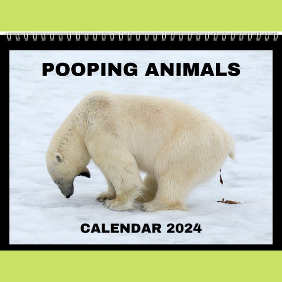 2024 Calendrier mural mensuel drôle de caca de chiens