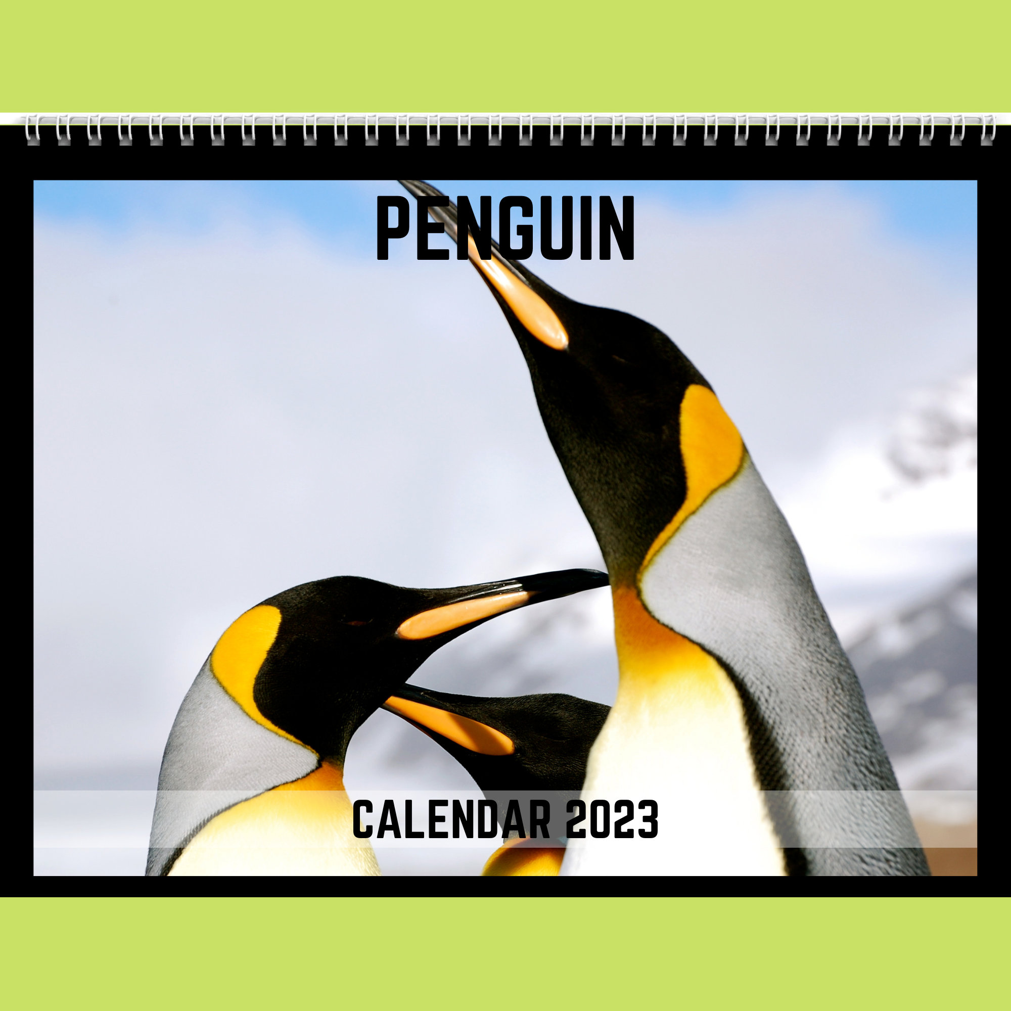 Penguin Calendar 2023 Gift Idea For Penguin Lovers Penguin - Etsy Denmark