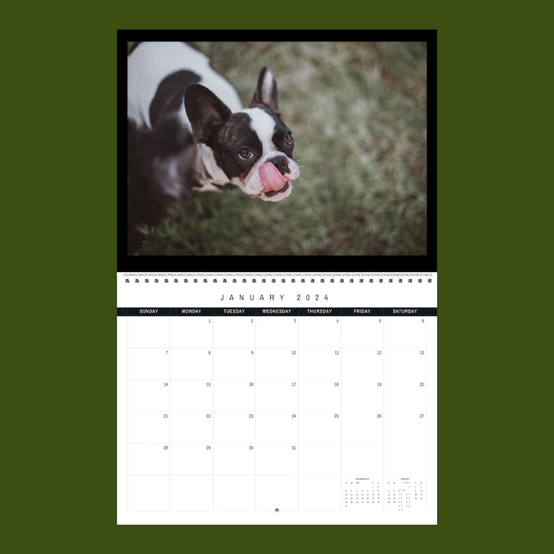 Boston Terrier Calendar 2024 Gift Idea for Boston Terrier Lovers Boston