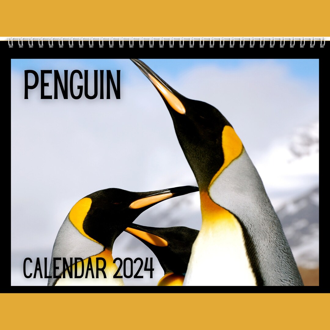 Penguin Calendar 2024 Gift Idea for Penguin Lovers Penguin Wall Calendar  Present for Women or Men Beautiful 12 Month Calendar - Etsy Sweden