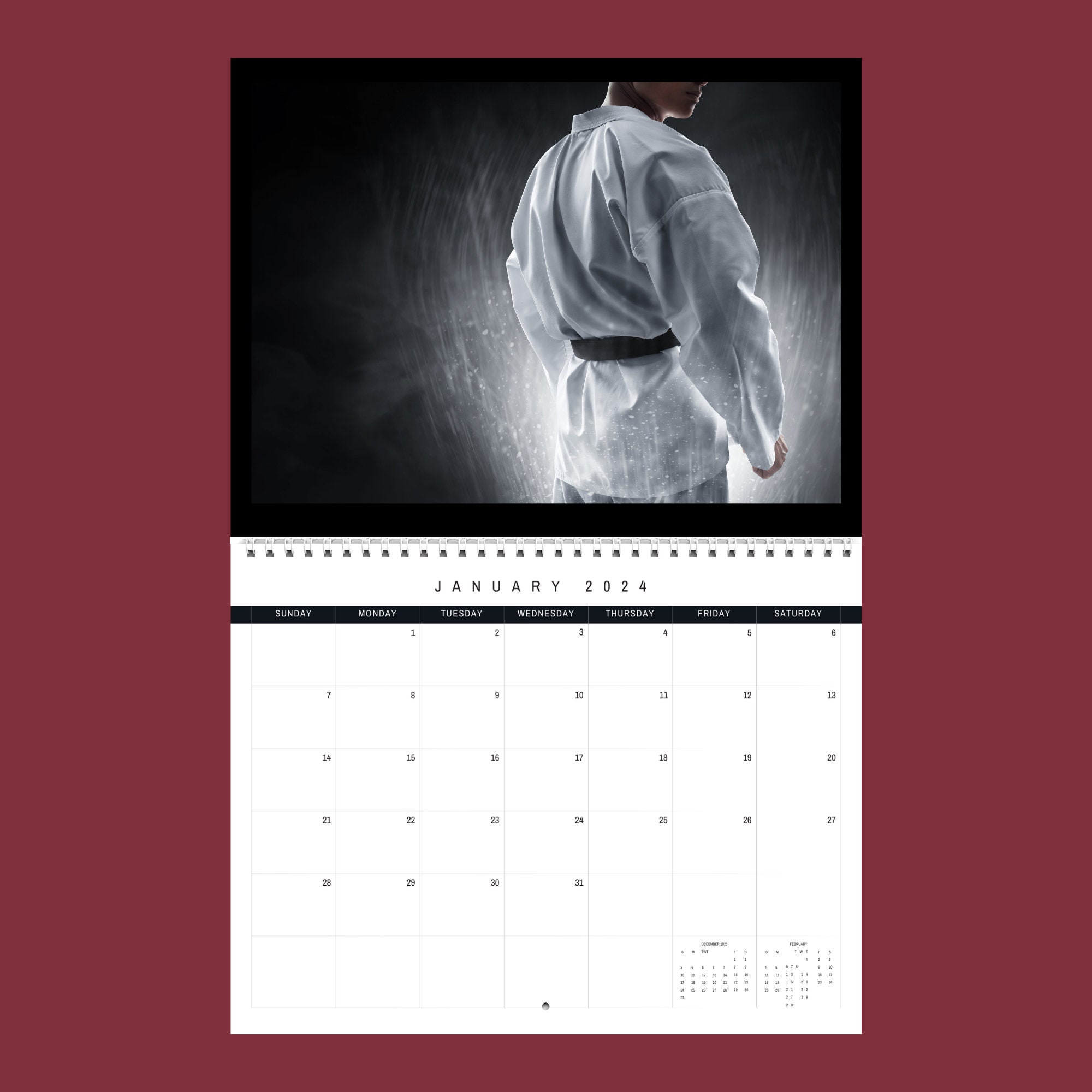Martial Arts Calendar 2024 Gift Idea for Martial Arts Lovers Wall