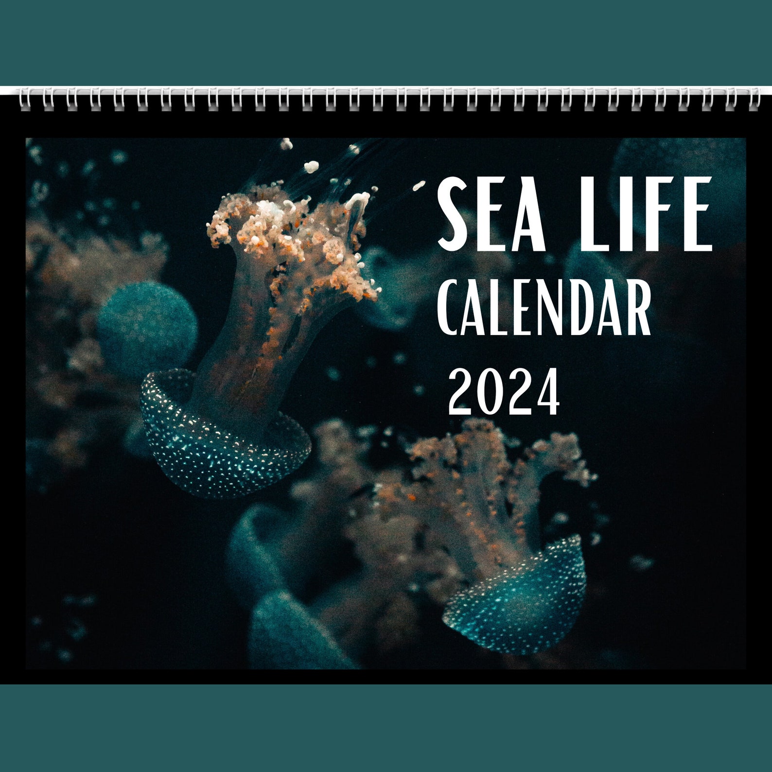 Sea Life Calendar 2024 Gift Idea for Sea Life Lovers Ocean Sea Life