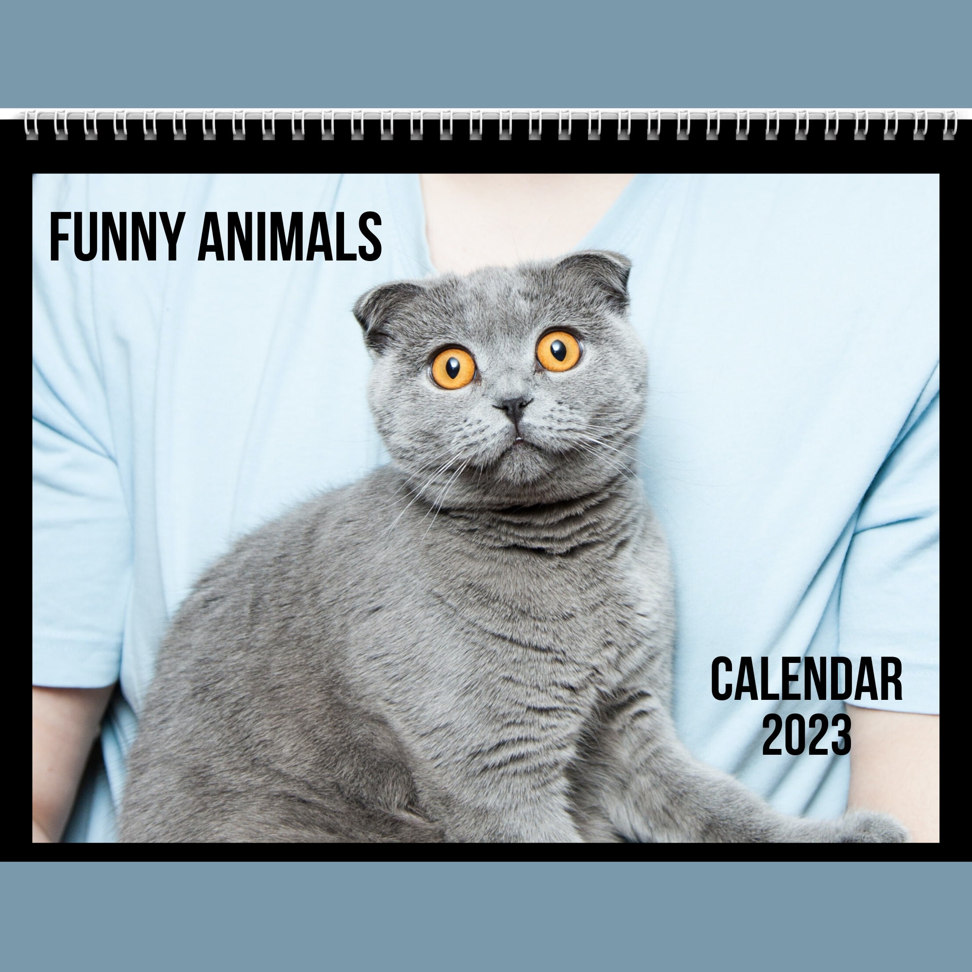 Funny Animals Calendar 2023 Gift Idea for Animal Lovers - Etsy Funny Animals Calendar 2023 Gift Idea for Animal Lovers - Etsy