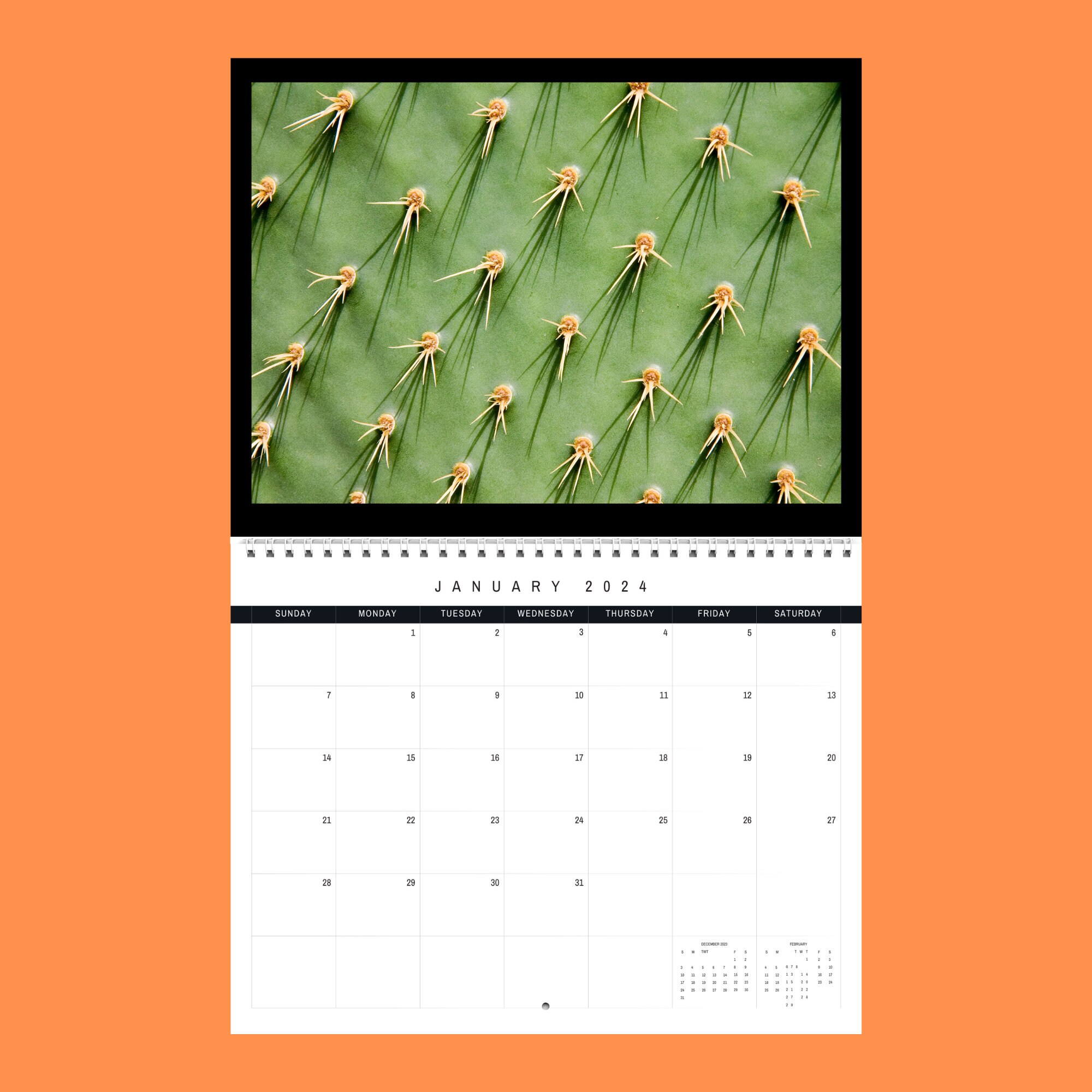 Cactus Calendar 2024 Gift Idea for Cactus Lovers Cacti Wall Etsy