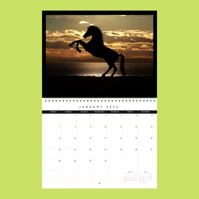Horse Calendar 2024 Gift Idea for Horse Lovers Equine Wall Calendar