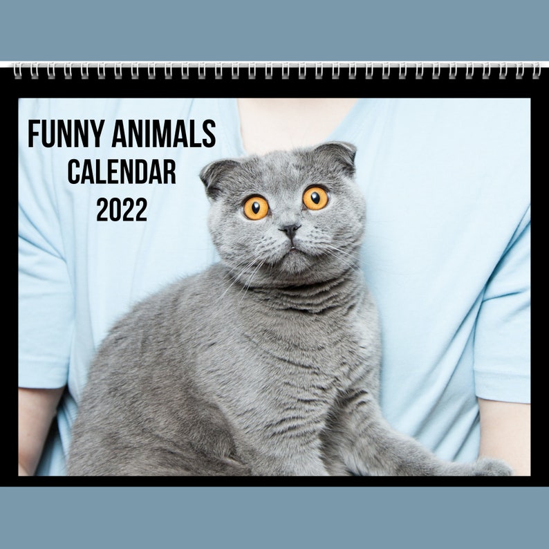 Lustige Tiere Kalender 2023 Geschenkidee für Lustige Tiere Etsy