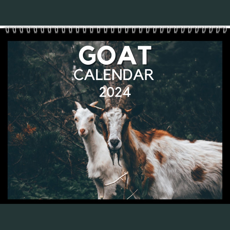 Goat Calendar 2024 Gift Idea for Goat Lovers Goats Wall Calendar