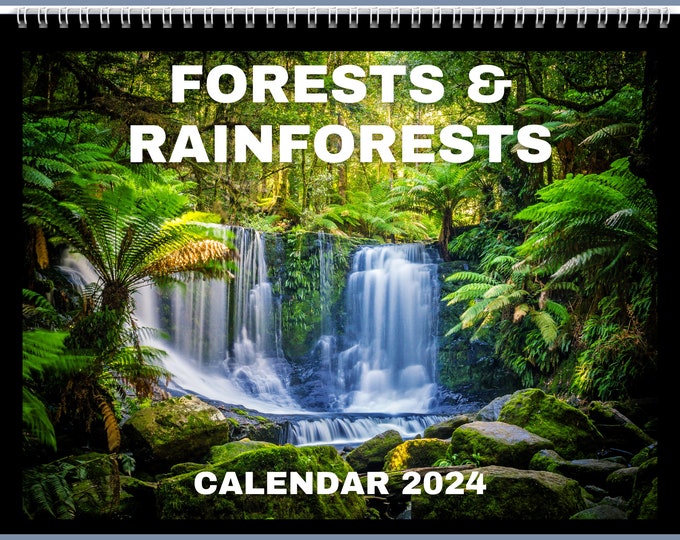 Forests and Rainforests Calendar 2024 Gift Idea For Forests Rainforests Lovers | Nature Wall Calendar Present  Women Men 12 Month Calendar