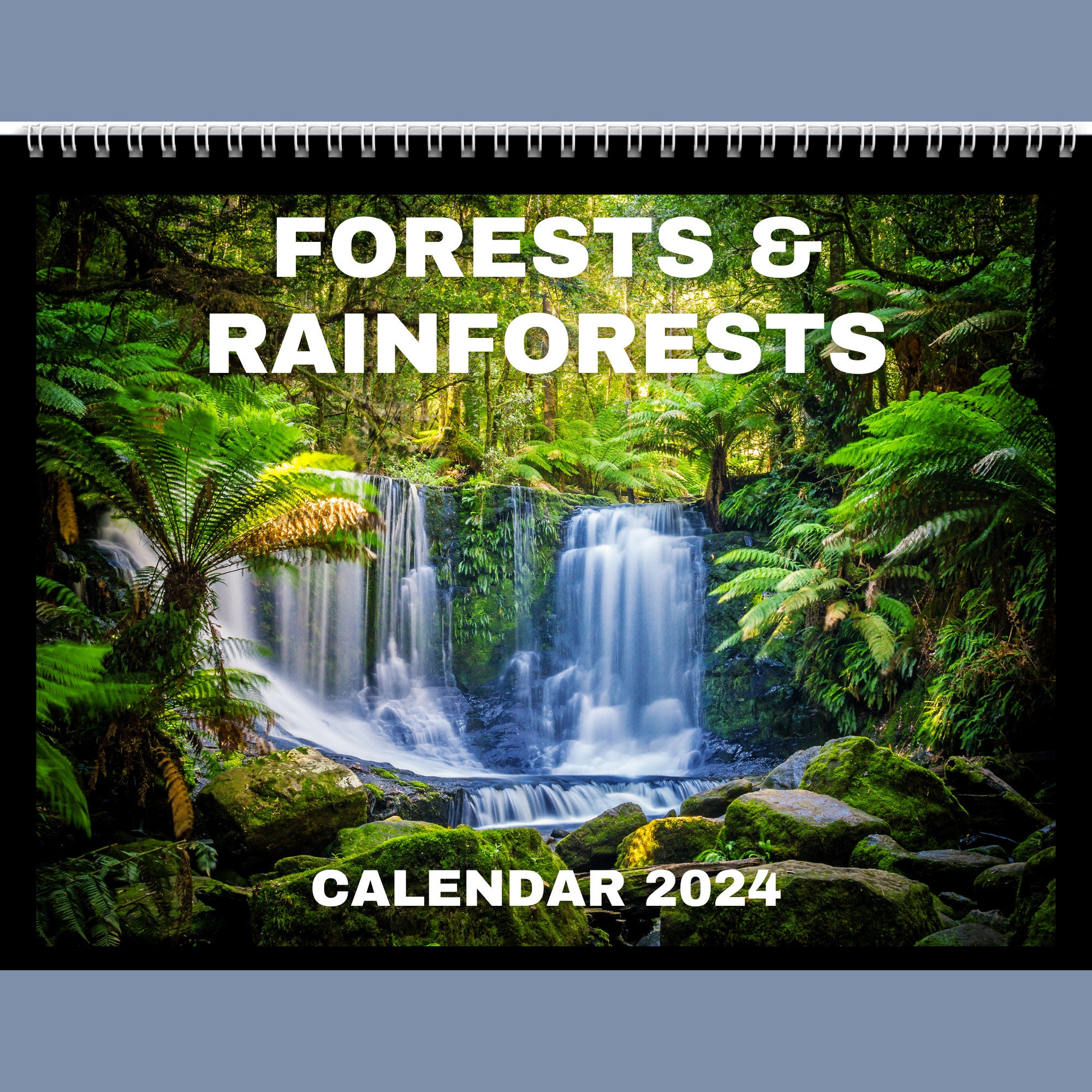 Calendrier 2024 Animaux de la forêt tropicale