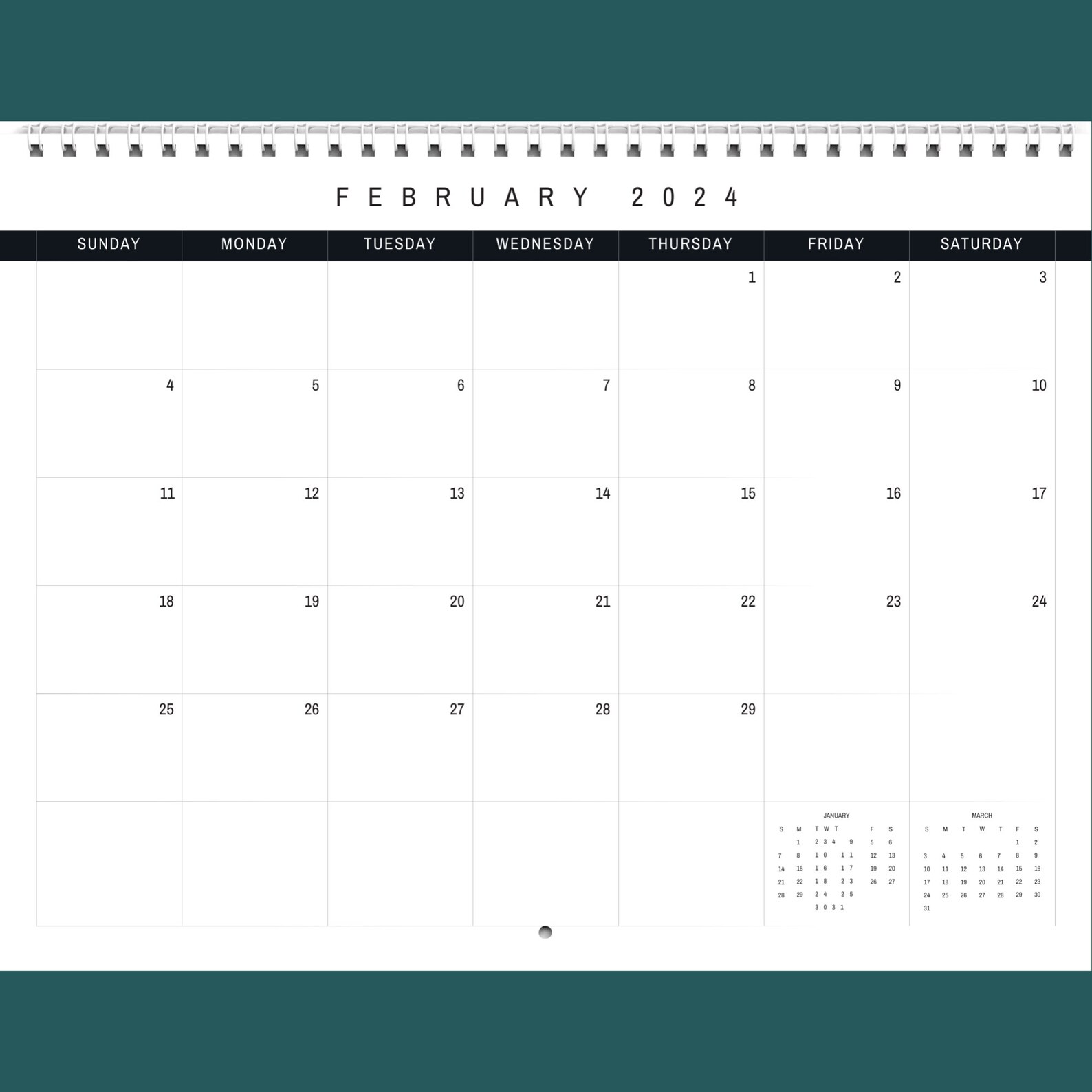 Sea Life Calendar 2024 Gift Idea for Sea Life Lovers Ocean Sea Life