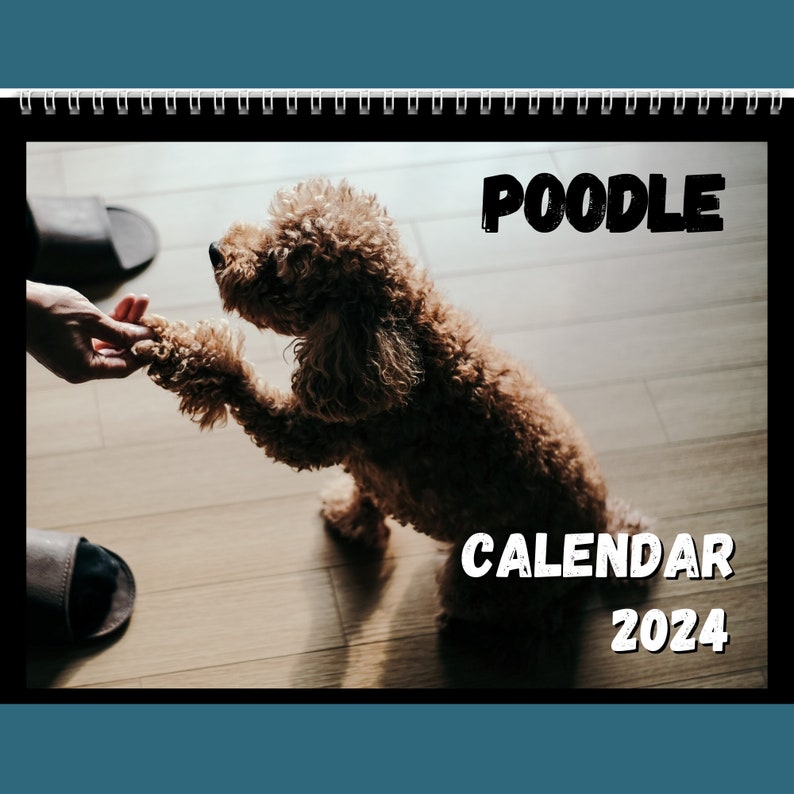 Poodle Calendar 2024 Gift Idea for Poodle Lovers Wall Etsy