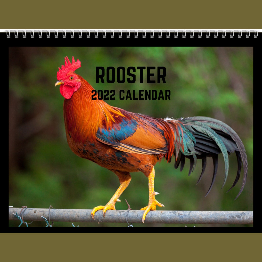 rooster-calendar-2023-gift-idea-for-rooster-lovers-wall-etsy