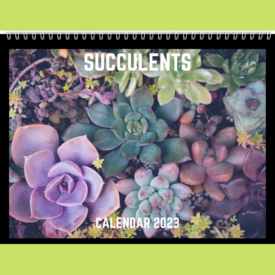 Succulent Calendar 2023 Gift Idea for Succulent Lovers Plant Etsy