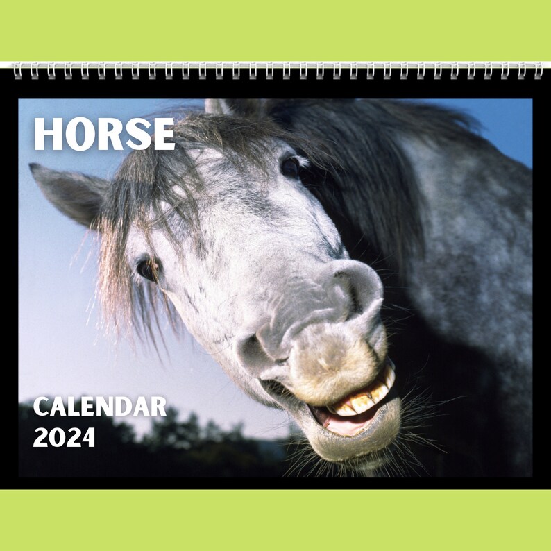 Horse Calendar 2024 Gift Idea for Horse Lovers Equine Wall Calendar