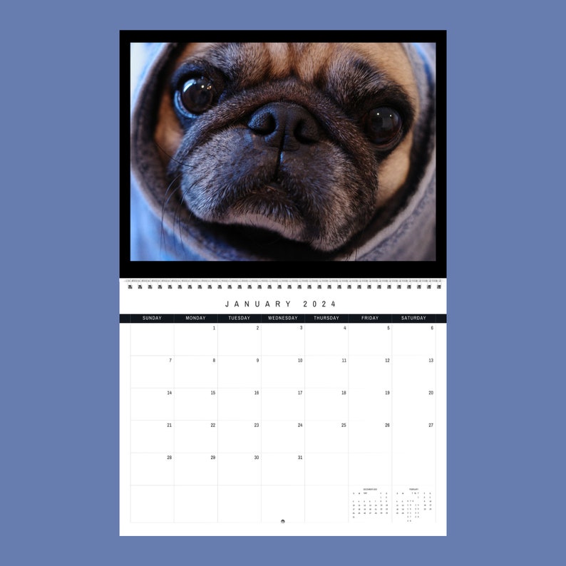 Pugs Calendar 2024 Gift Idea for Pugs Lovers Wall Calendar Present for