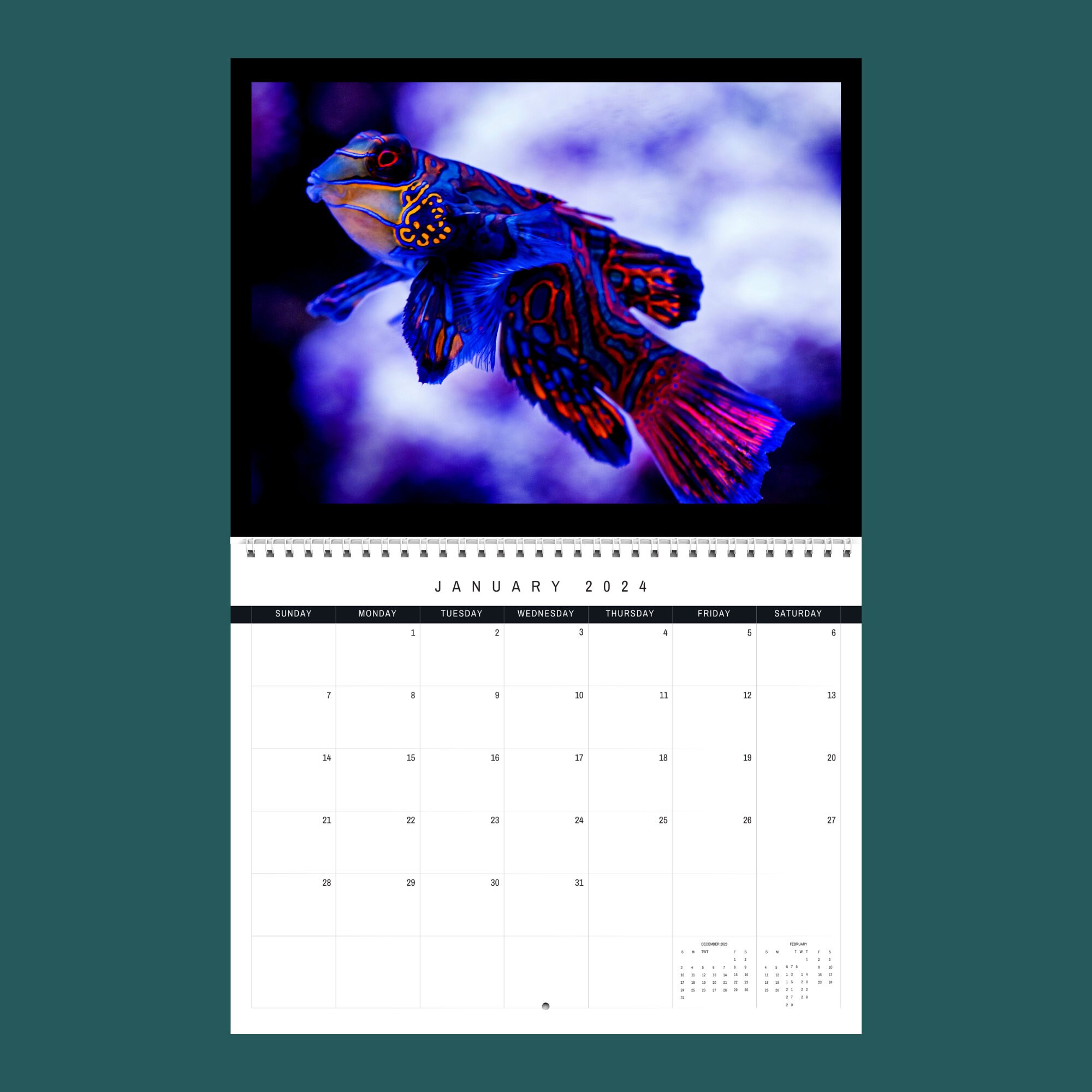 Sea Life Calendar 2024 Gift Idea for Sea Life Lovers Ocean Sea Life