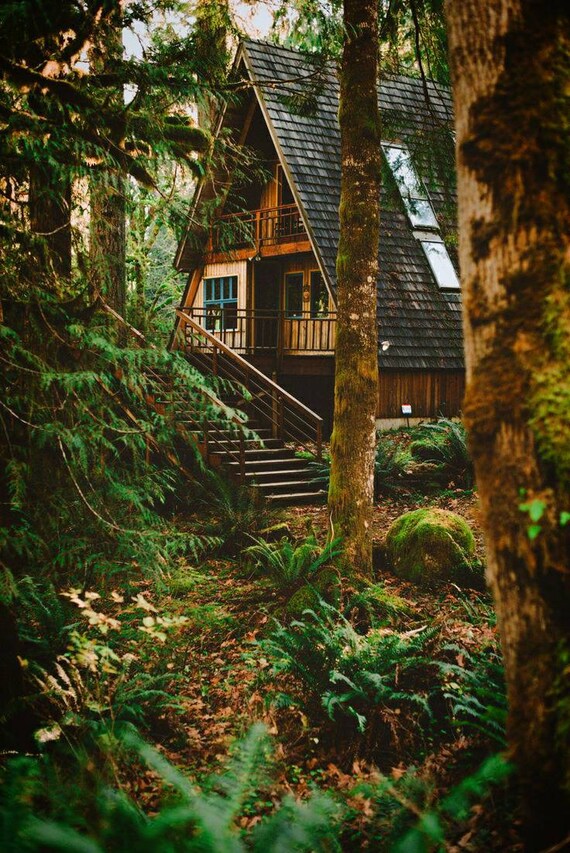 Buy Spray or Roll on Perfume Oil chalet cedar Forest Cashmere