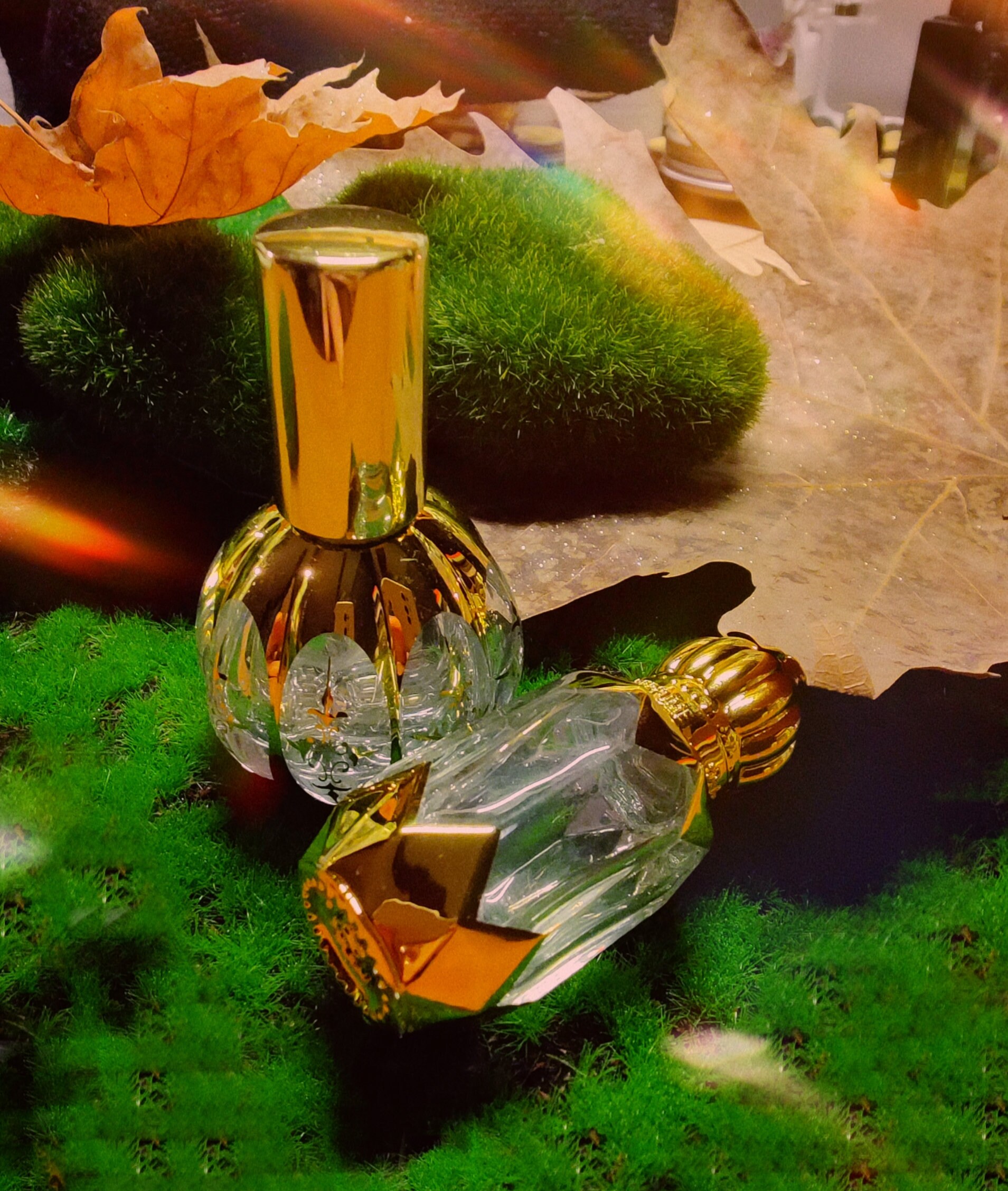 Niche Perfume Oil 