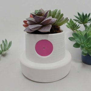 Spray Paint Cap Flower Succulent Pot