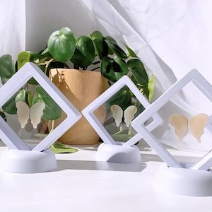 May include: Three white display cases with clear lids, each showcasing a pair of butterfly wings. The cases are square and have a white base.