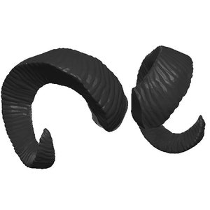 May include: A pair of black, curled ram horns. The horns are made of a textured material and have a natural, organic look.