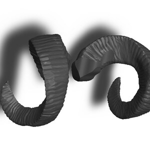 May include: Two black ram horns, curved and textured, are shown against a white background.