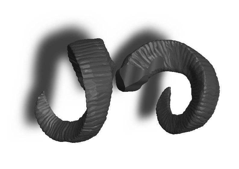 May include: Two black ram horns, curved and textured, are shown against a white background.