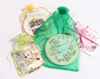 Boho Botanical Gift Bundle - Set of 5 | Plant Lover Gifts, Floral Art Prints, Gifts Under 20, Cottagecore, Rustic Wall Hangings